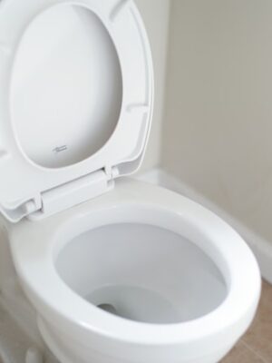 Профессиональный монтаж инсталляции унитаза